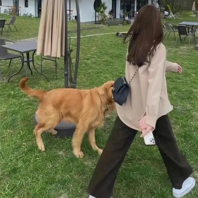 一个女孩的眼泪